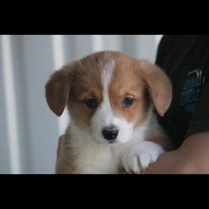 Meet your Posher, Karen